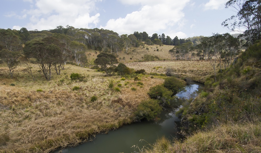 Platypus Pool walking track, Werrikimbe National Park. Photo: John Spencer © DPIE