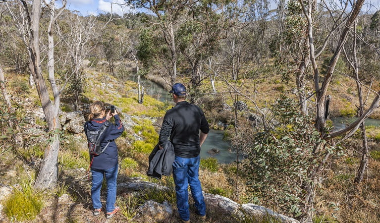 Two people pause to take a photo on Platypus Pool walking track, Werrikimbe National Park. Photo: Josh Smith &copy; DPE