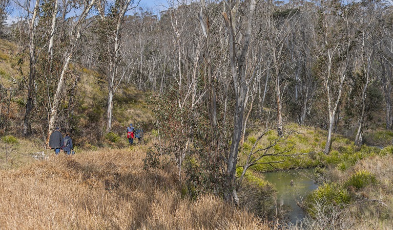 People walking alongside the river on Platypus Pool walking track, Werrikimbe National Park. Photo: Josh Smith &copy; DPE