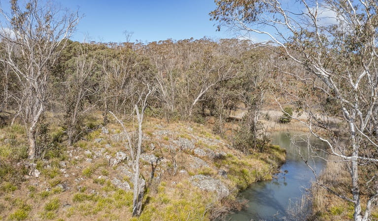 The river flows gently through the bush on Platypus Pool walking track, Werrikimbe National Park. Photo: Josh Smith &copy; DPE