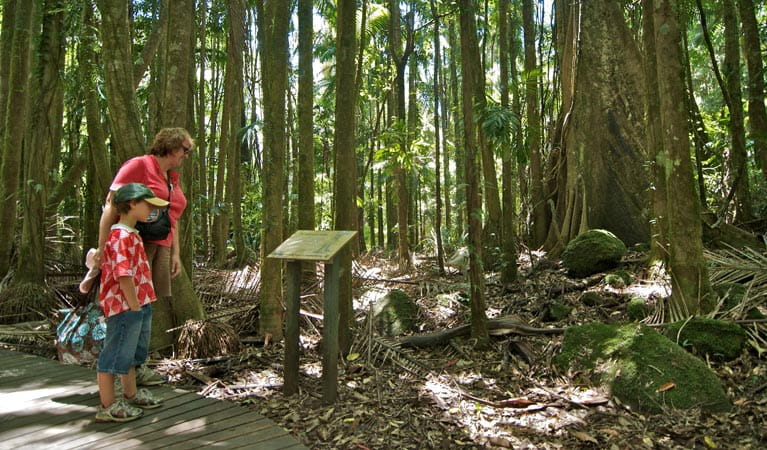Protestors Falls Walking Track, Whian Whian State Conservation Area. Photo: John Spencer &copy: DPIE