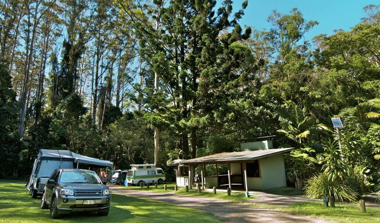 Rummery Park Camping Area, Whian Whian State Conservation Area. Photo: John Spencer/NSW Government