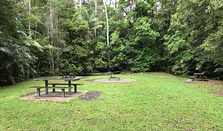 Goanna group camping area at Rummery Park campground. Photo: Andrew Fay/OEH