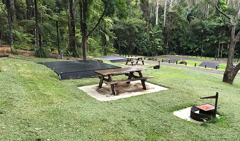 Site 10 platform at Rummery Park campground. Photo: Andrew Fay/OEH