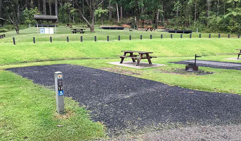 Site 12 tent vehicle site at Rummery Park campground. Photo: Andrew Fay/OEH