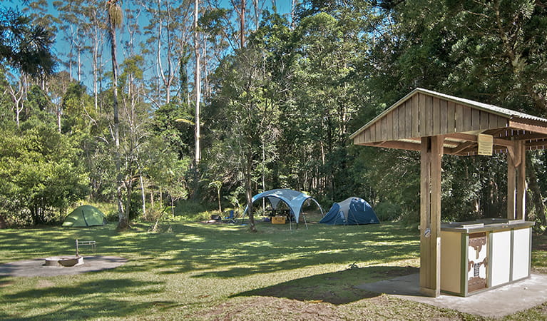 Rummery Park campground surrounded by bushland, showing covered barbecue, fire rings and tents.  Photo: John Spencer/OEH