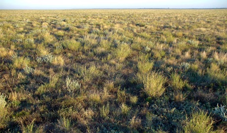 Merton motor trail, Willandra national Park. Photo: