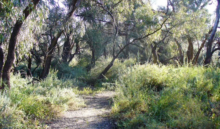 Nilla Yannagalang Billana walking track, Willandra National Park. Photo &copy; David Egan