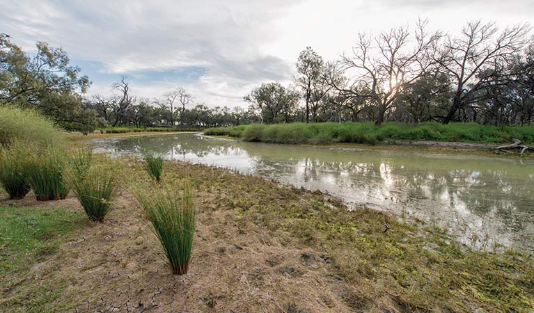 Nilla Yannagalang Billana Willandra creek, Willandra National Park. Photo: John Spencer &copy; OEH