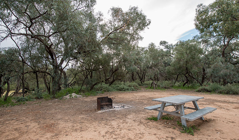 Willandra campground, Willandra National Park. Photo: John Spencer/NSW Government