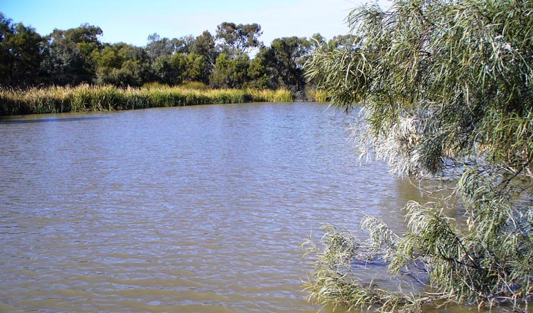 Willandra campground, Willandra National Park. Photo: D Egan/NSW Government