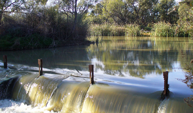 Willandra campground, Willandra National Park. Photo: D Egan/NSW Government