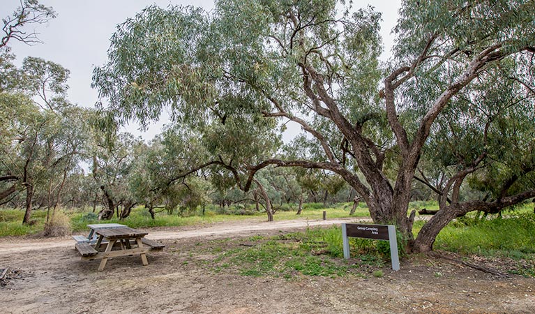 Willandra group campground, Willandra National Park. Photo: John Spencer/NSW Government