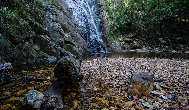 Waterfall, Willi Willi National Park. Photo: John Spencer &copy; DPIE