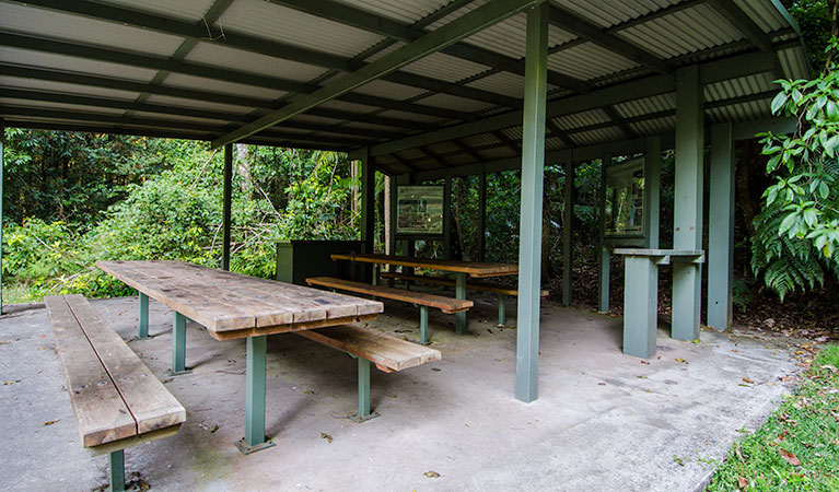 Picnic area, Willi Willi National Park. Photo: John Spencer &copy; DPIE