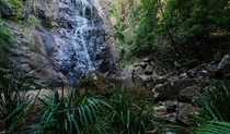 Waterfall walk cascade, Willi Willi National Park. Photo: John Spencer &copy; OEH