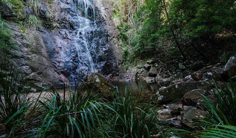 Waterfall walk cascade, Willi Willi National Park. Photo: John Spencer