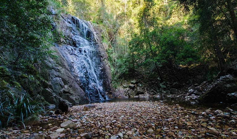 Waterfall walk, Willi Willi National Park. Photo: John Spencer &copy; OEH