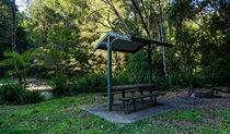 Wilson River picnic area shelter, Willi Willi National Park. Photo: John Spencer