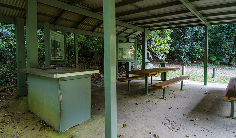 Wilson River picnic area barbecue, Willi Willi National Park. Photo: John Spencer