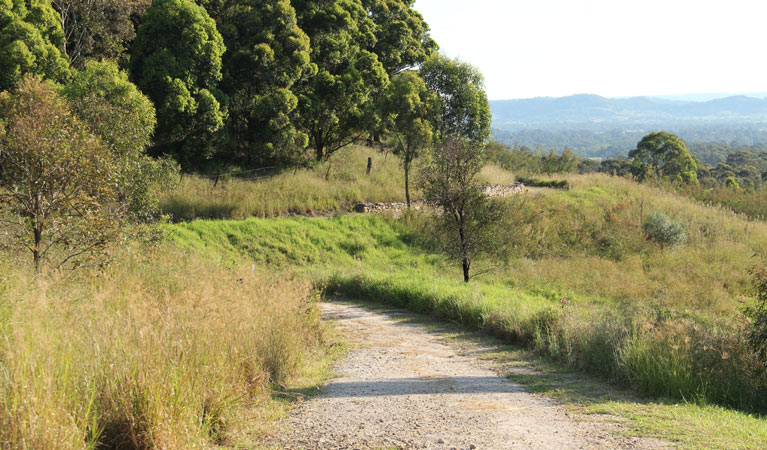 Loop trail, William Howe Regional Park. Photo: John Yurasek &copy; OEH