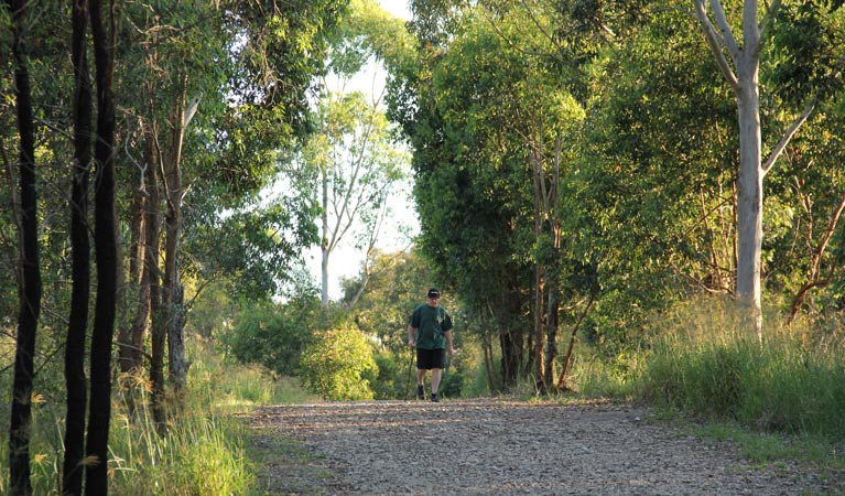 Loop trail, William Howe Regional Park. Photo: John Yurasek &copy; OEH