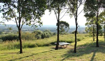 Turkey's Nest picnic area, William Howe Regional Park. Photo: John Yurasek &copy; OEH