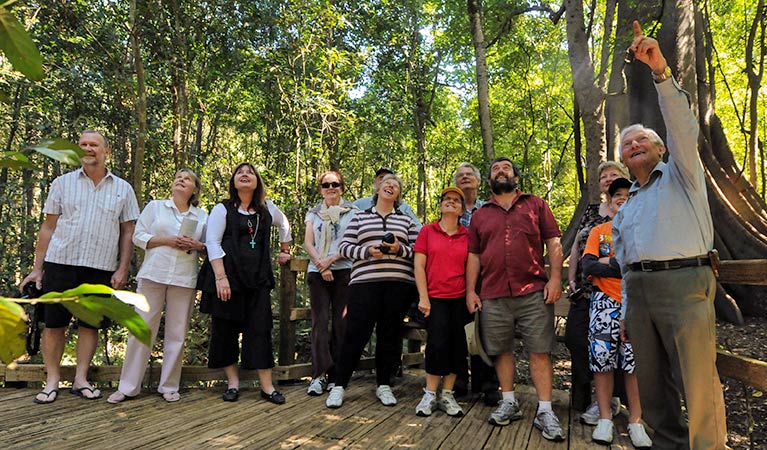 Wingham Brush Nature Reserve. Photo: NSW Government