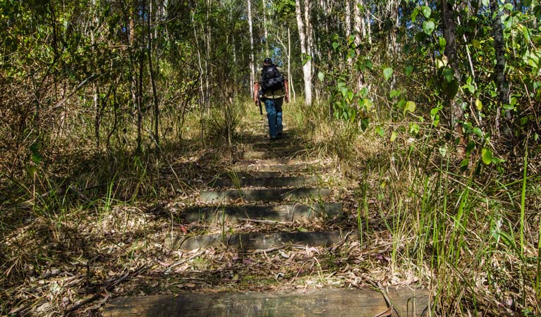 Cliff Face track, Woko National Park. Photo: John Spencer &copy; OEH