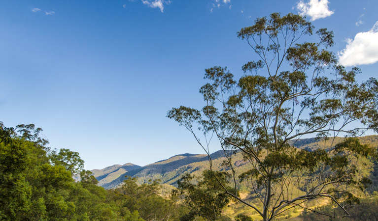 Cliff Face track, Woko National Park. Photo: John Spencer/NSW Government