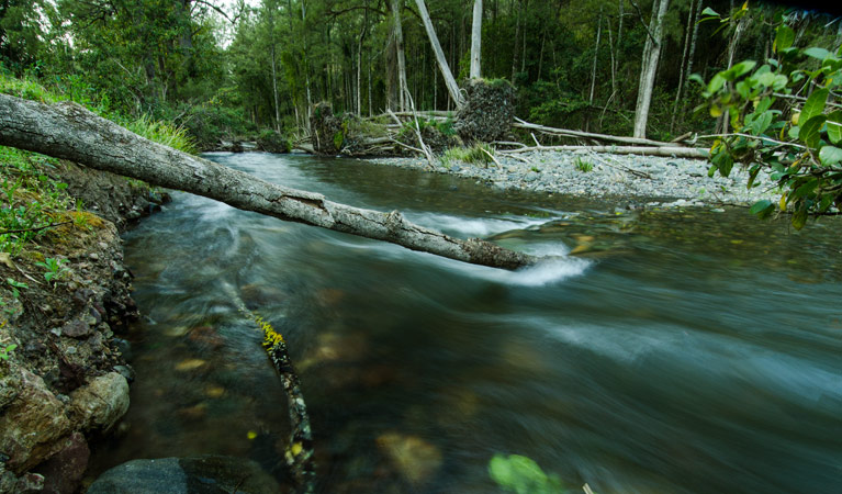 Little Manning River, Woko National Park. Photo: John Spencer/NSW Government