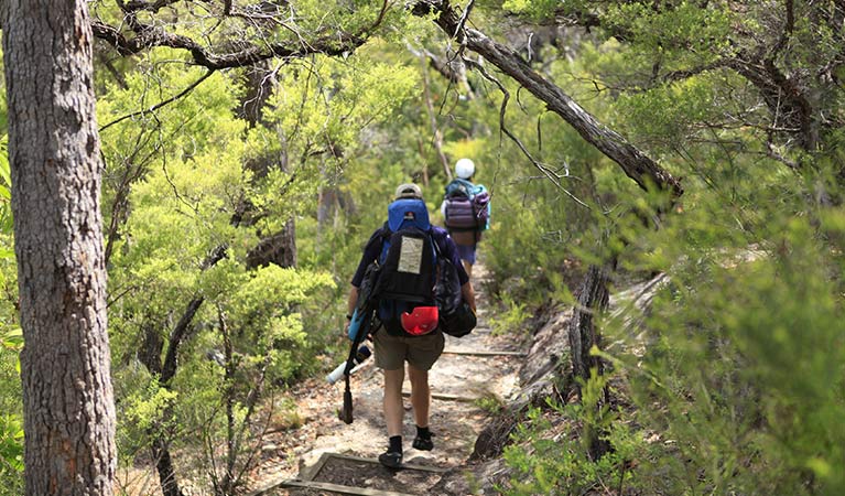 Bushwalkers with backpacks on Bob Turners walking track, Wollemi National Park. Photo &copy; Rosie Nicolai