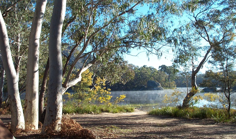 Riverbank, Ganguddy-Dunns Swamp campground, Wollemi National Park. Photo &copy; Chris Pavich