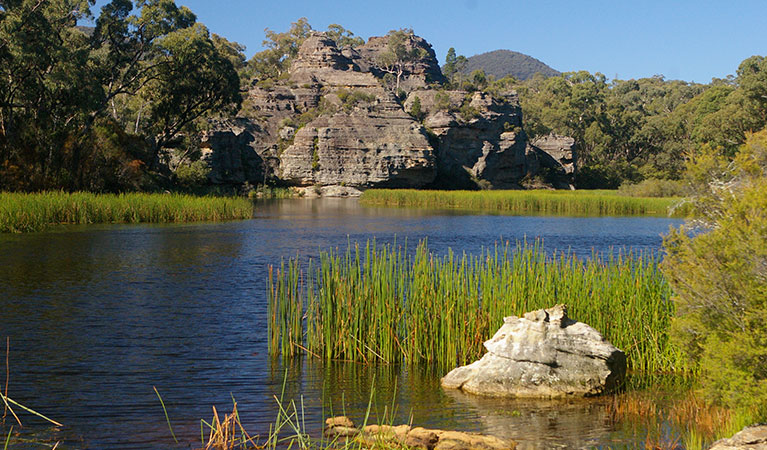 Dunns Swamp - Ganguddy campground, Wollemi National Park. Photo: Barry Collier/OEH