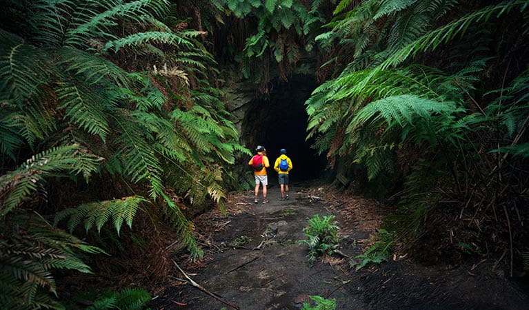 Two walkers at the entrance to Glow Worm Tunnel, Wollemi National Park. Photo: Daniel Tran