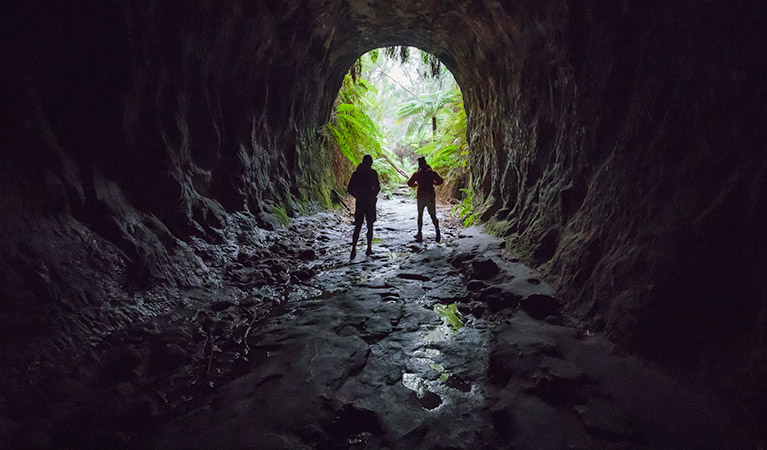 Two men at the entrance of Glow Worm Tunnel, Wollemi National Park. Photo &copy; Daniel Tran