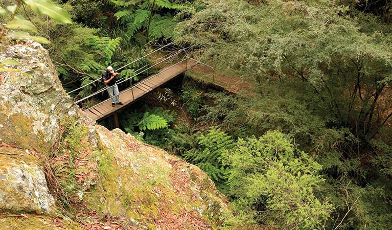 A walker stops on a bridge over a gully, Glow Worm Tunnel walking track, Wollemi National Park. Photo &copy; Rosie Nicolai