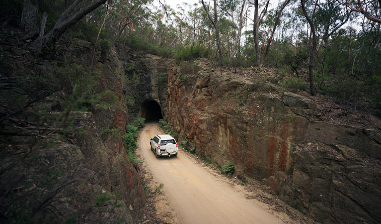 A car drives along Glow Worm Tunnel Road, Wollemi National Park. Photo: Daniel Tran