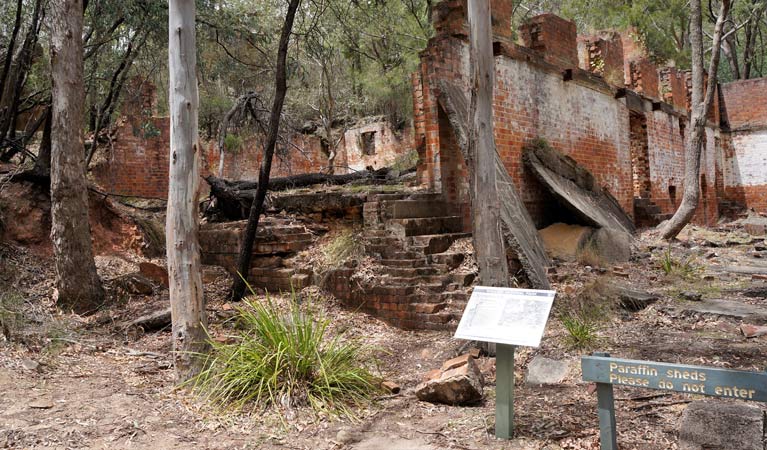 Deserted paraffin sheds, Newnes Industrial Ruins walk, Wollemi National Park. Photo: Steve Alton &copy; OEH