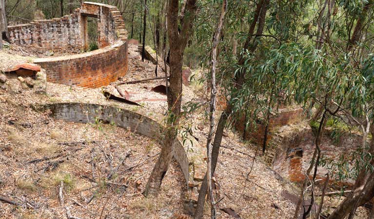 Newnes Industrial Ruins, Wollemi National Park. Photo: Steve Alton &copy; OEH