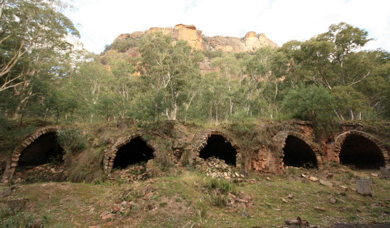 A row of brick kilns at Newnes Industrial Ruins, Wollemi National Park. Photo: Elinor Sheargold &copy; OEH