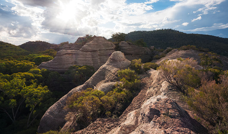 Views from Pagoda Lookout walking track, Wollemi National Park. Photo: Daniel Tran