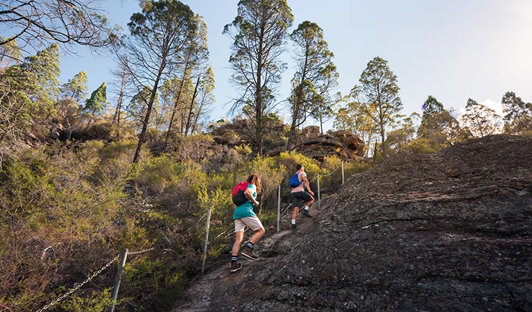 People climbing Pagoda Lookout walking track, Wollemi National Park. Photo: Daniel Tran