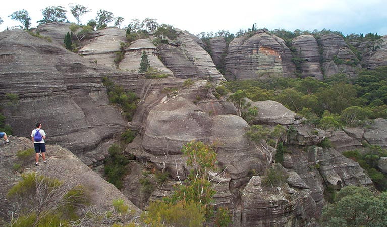 Rock formations on Pagoda Lookout walking track, Wollemi National Park. Photo: Michael Sharp