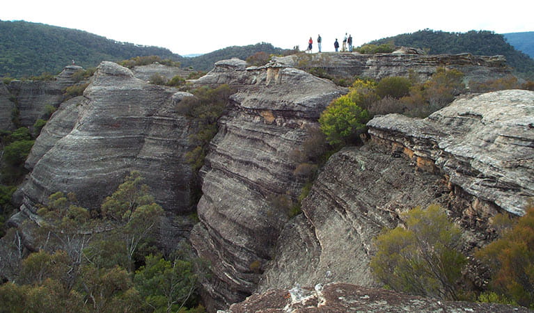 People walking to Pagoda Lookout, Wollemi National Park. Photo: Michael Sharp