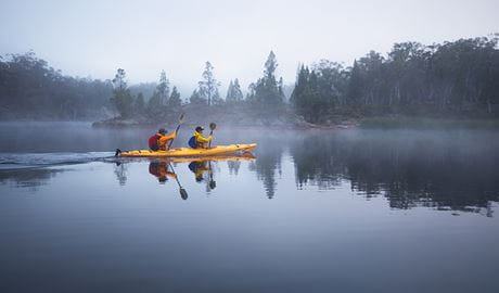 Morning kayakers in mist at Dunns Swamp-Gunguddy, Wollemi National Park. Photo: Daniel Tran/OEH.