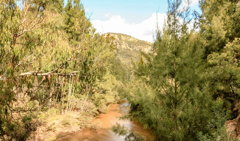 Wolgan River crossing in Wollemi National Park. Photo: Elinor Sheargold &copy; DPIE