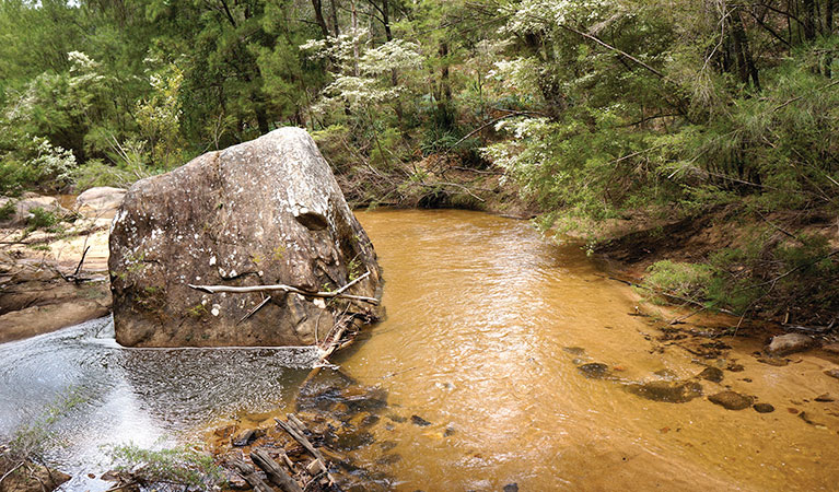 Wolgan River and surrounding bushland next to Newnes Industrial Ruins in Wollemi National Park. Photo: Steve Alton &copy; DPIE