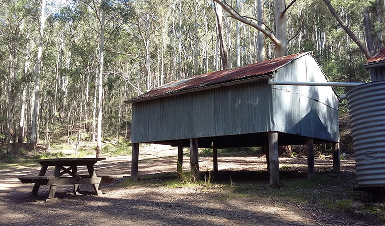 View of Sheepskin Hut and picnic table set in Wollemi bushland. Photo: Shayne Forty/OEH