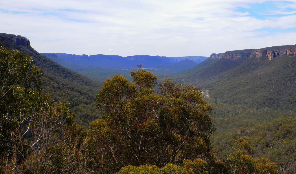 View of forest-clad valleys and rocky cliff bands near Twister and Rocky Creek canyons. Photo credit: Stephen Alton &copy; DPE